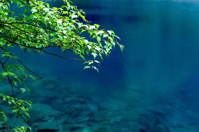 立秋≠降温？这个19℃的翡翠秘境，才是今夏终极避暑答案！