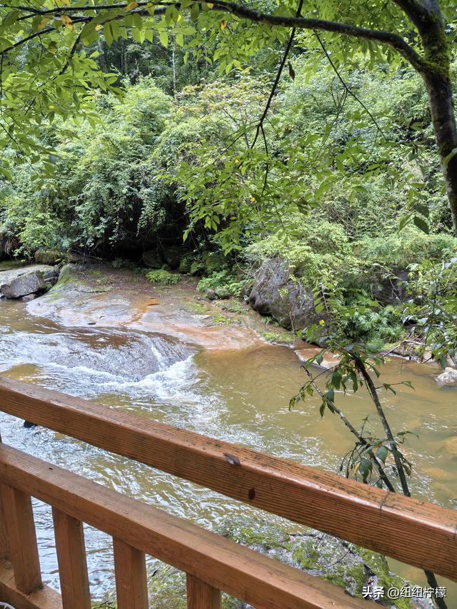 在江津四面山景区看了瀑布爬了梯，又坐了超级滑道听了潺潺流水声