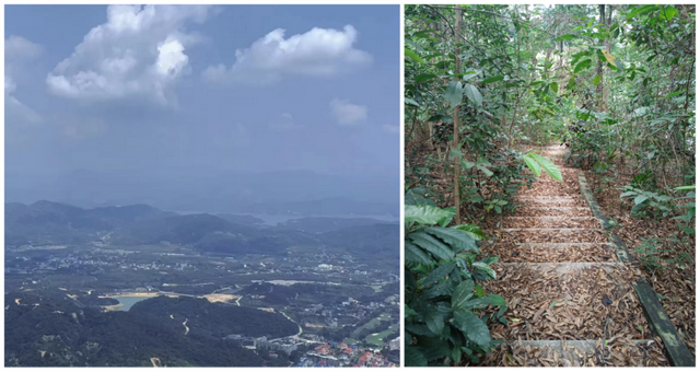 罗浮一览律途宽，登高望远业更勤