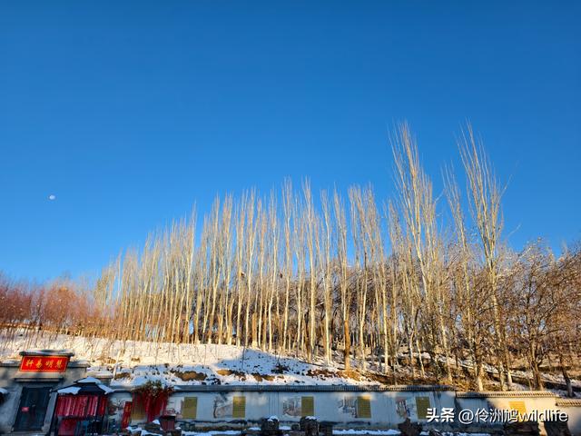 新疆乌鲁木齐红光山大佛寺