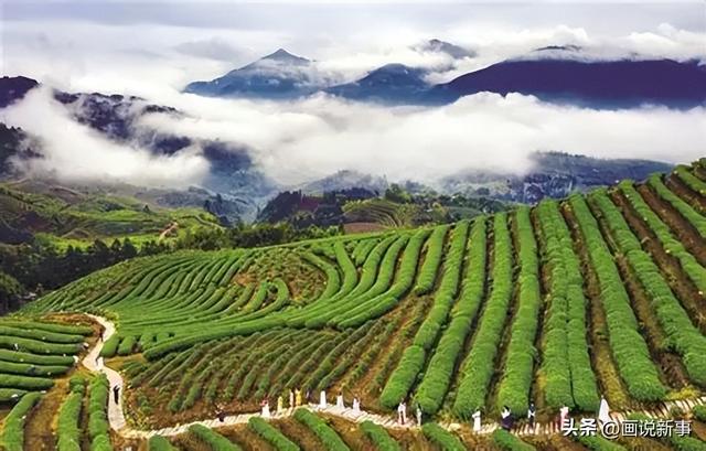 连城县赖源乡：打造四季“ ‘氧生’天堂” 徒步健身佳境