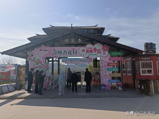 无为在歧路，2025之经行