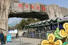 合肥野生动物园免票政策，这4类人员免门票(低保户半价)图片