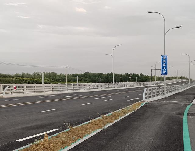 谭岗路大桥风景如画，可惜尚未放行