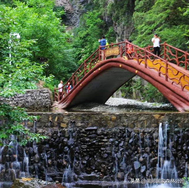 秋意漫染黑河，清风轻吟，邂逅一场如诗的秋日美景