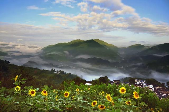 星空为幕，云海为席！歙县坡山首场公益露天电影之夜圆满落幕