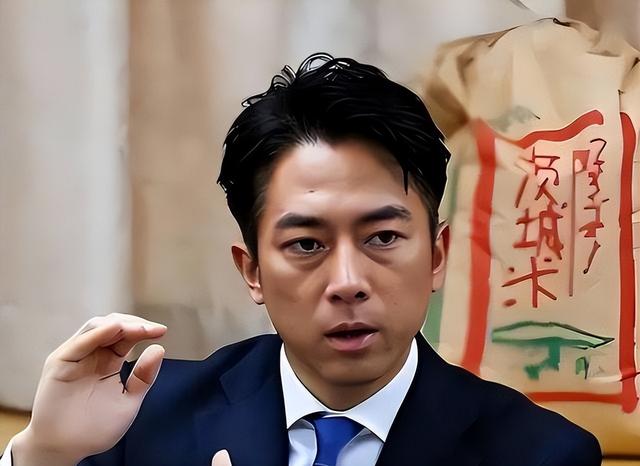 最大帮手到位，高市下令反制中国，中方直接出手，掐日本“死穴”