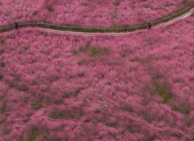 这是日照哪里？这么美！他们，她们，它们都来了！
