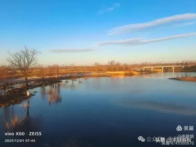 初冬北京朝阳坝河金盏淀:清寒里的静美画卷|申艳娟