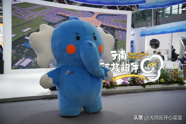 云南真是为游客操碎了心啊