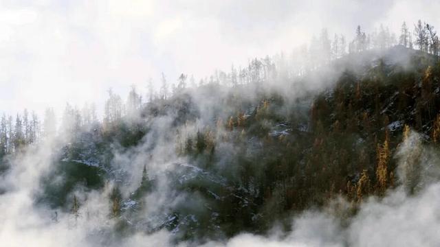 云雾缭绕 喀纳斯驼颈湾