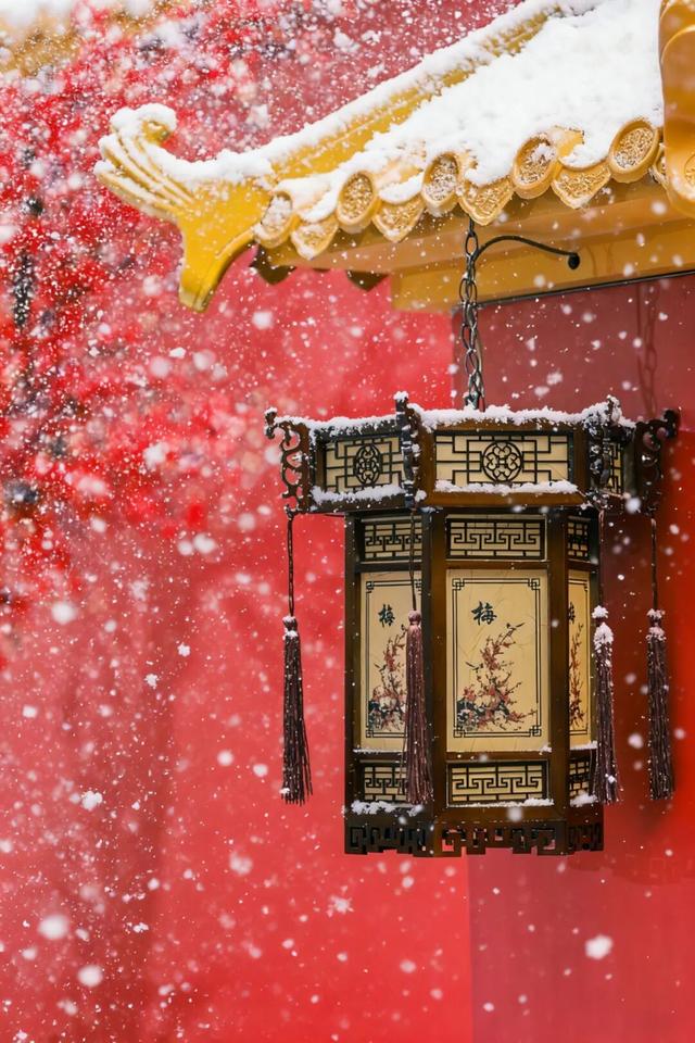 深圳冬日限定打卡点上新，顶流LABUBU也来了……