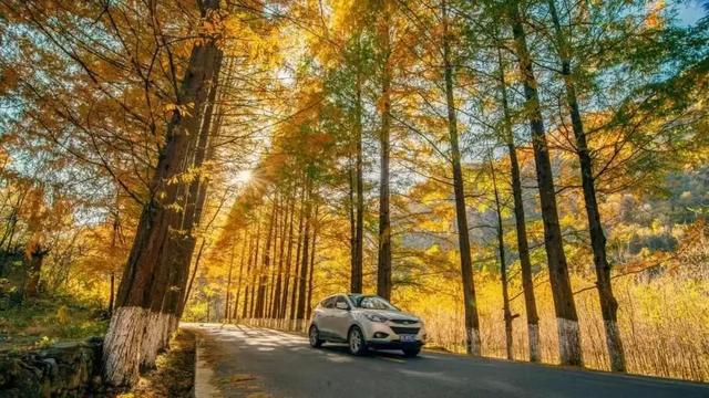 秋假不“宅家”!汉中这4条线路,承包你和孩子的秋日心动~