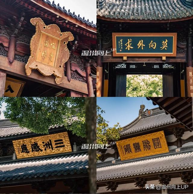 温州这座出土了众多国宝的“宝藏古镇”，能否成为下一个梧田老街