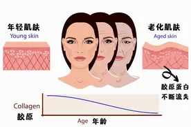 胶原蛋白的流失，比你想象的更早、更快图片