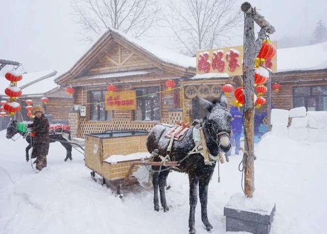 “哈尔滨”的移动城堡 尽享奢华！有观景天窗的豪华专列！