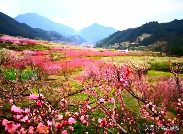 多彩两江，深山里的彩色诗行（散文诗）