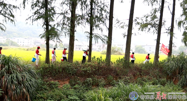 白地市：“志愿红”守护“生态绿”