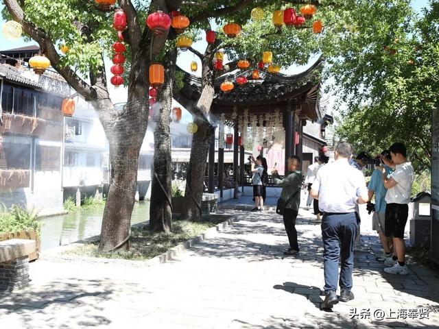 邂逅奉贤“多面魅力”，百名博主在奉贤“玩超标”了！