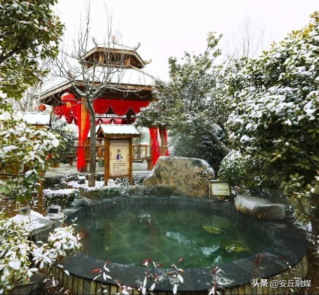 出发，向潍坊！这个冬天总有一种玩法你会心动