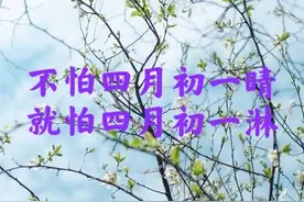 明日四月初一，老人说“就怕四月初一”，有啥预兆？答案来了图片