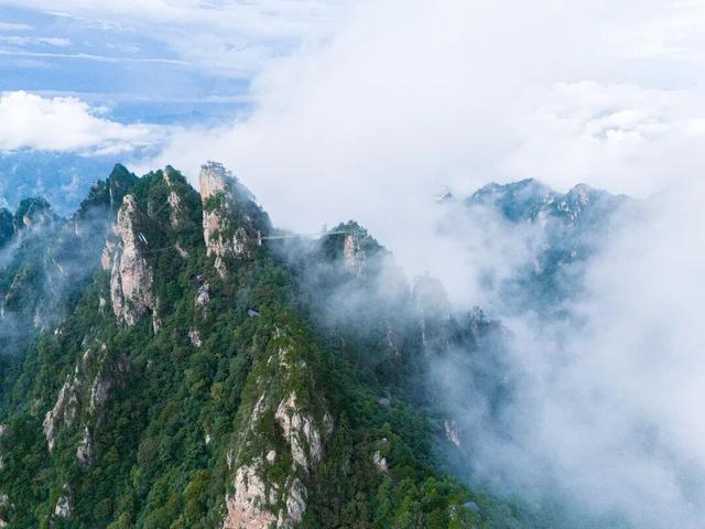 老界岭初秋云海氛围感拉满！