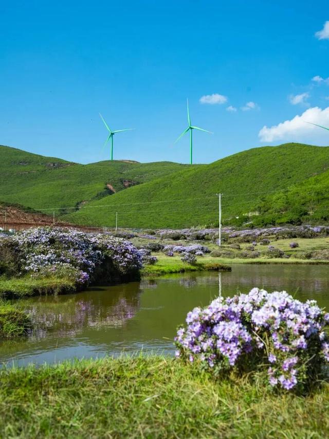 11月又放7天，去西昌感受节日氛围，周末就能往返