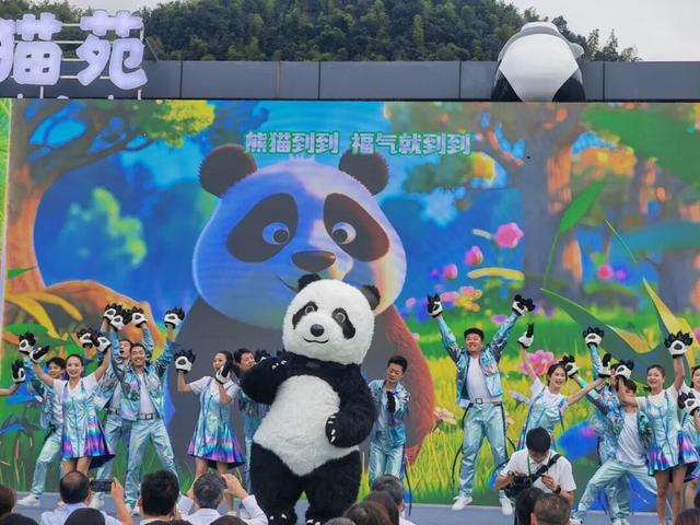 宜宾首迎“国宝”！预计国庆假期与游客见面！