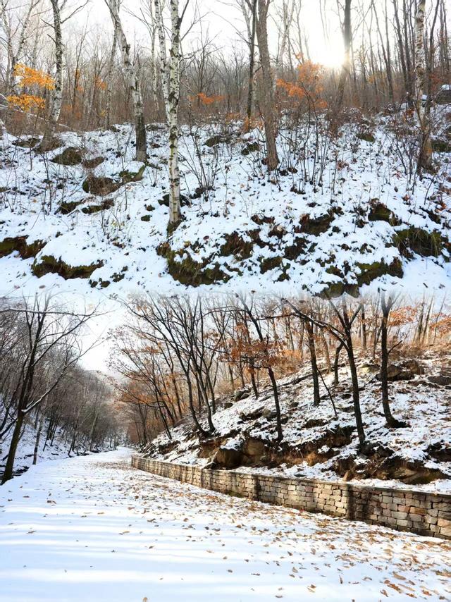 此刻的北京，见证秋与冬的双向奔赴