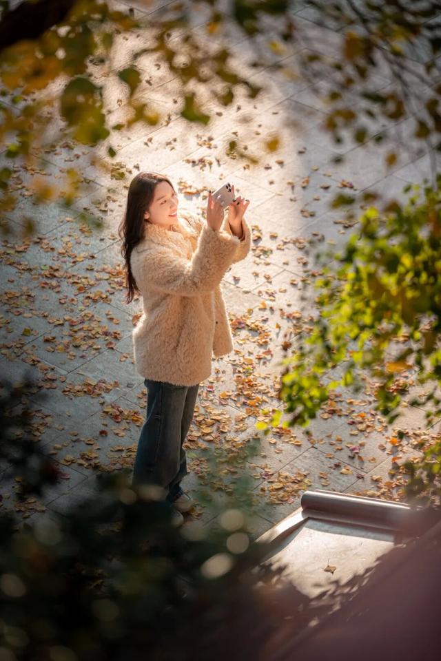 我们把台儿庄古城的秋天“晒”满了朋友圈，温柔了整座古城的初冬