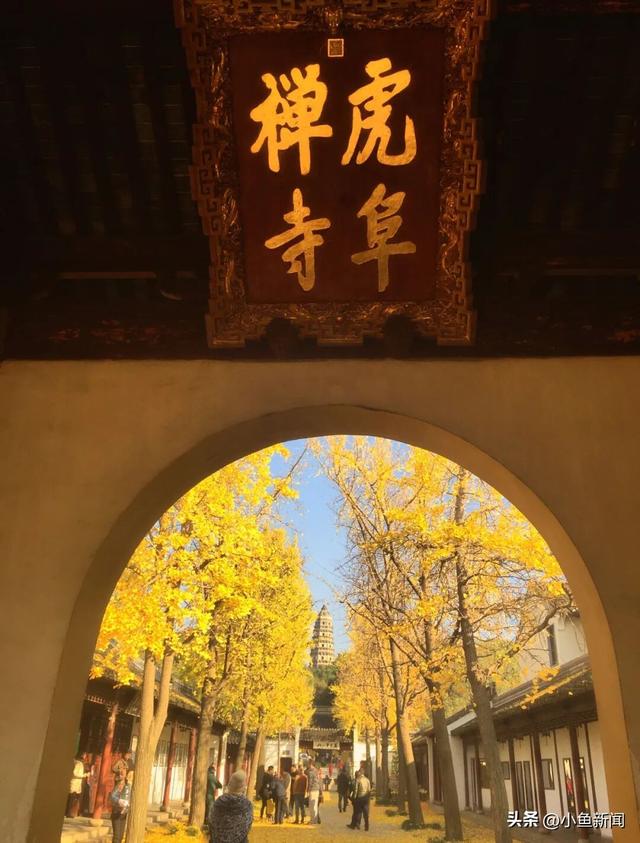 金色的苏州，开始了！