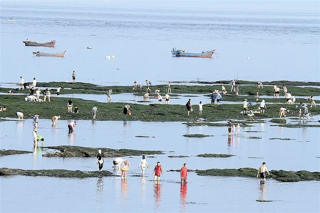 走啊！去赶海，去喂海鸥！
