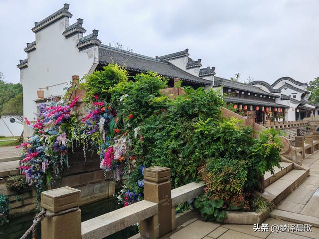 祥云湾竹木赋 ——癸卯秋日云梦纪行