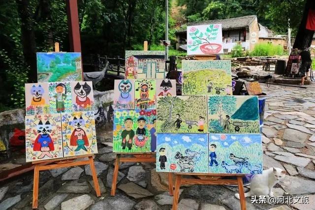 喵喵喵~山里有一个猫界桃花源！