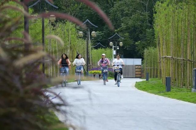 邂逅冬日暖阳！邛崃这些晒太阳的好地方，你一定要知道