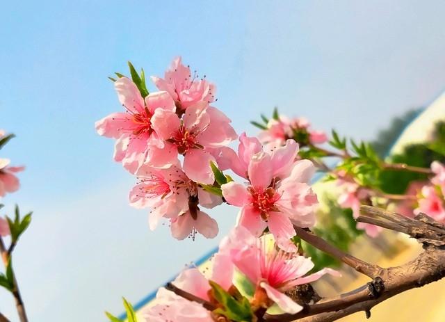 两性关系:早上起床撩一句，让异性想你好几天