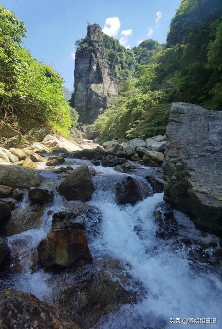 散文:看人间美景，五月历历