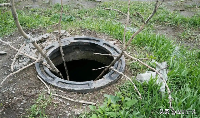 福建女子坠井54小时：被蛇缠身，淹在井水里，想着父母坚持下去