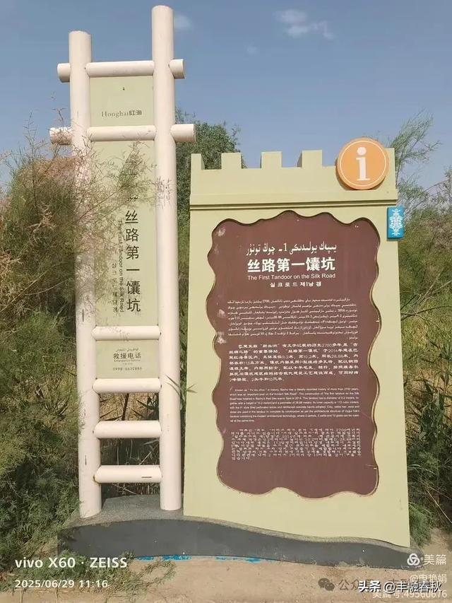 探秘新疆巴楚红海景区：自然与人文的交响｜ 申艳娟