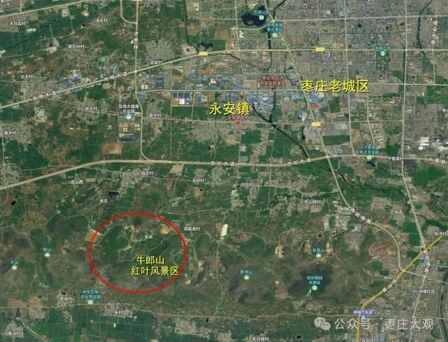 实拍枣庄牛郎山进入红叶观赏期！