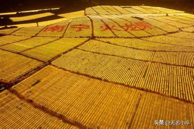 终于知道广西为什么能够实现水果自由了，真的是占尽天时地利人和