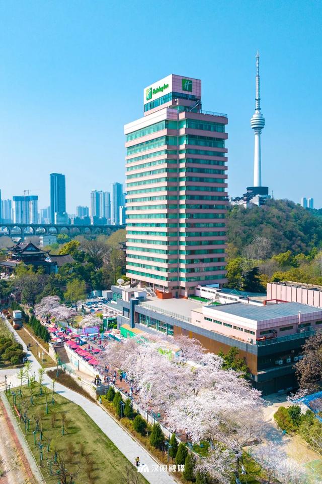 上央视！汉阳这条大道凭什么成顶流？