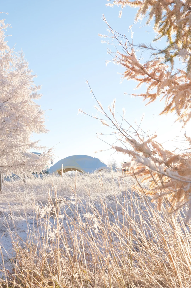 入冬啦！呼和浩特的这几处顶流打卡地必须去眊一眊！