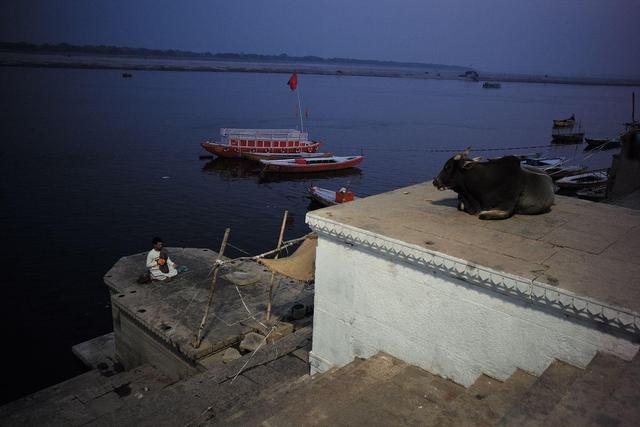 印度游客庐山戏水引争议：文化差异还是素质问题？