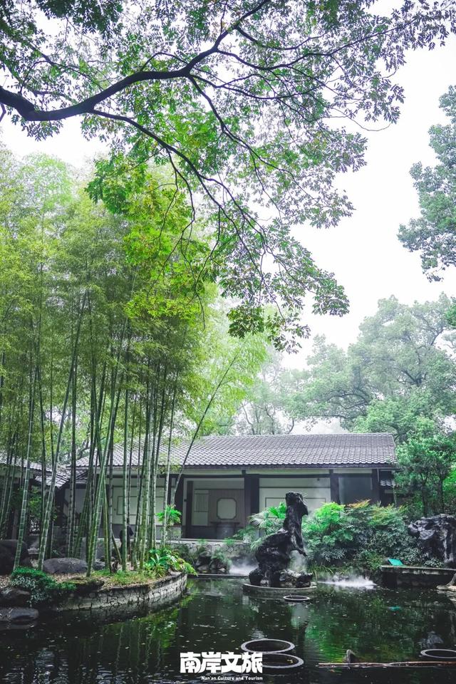 初见南岸丨开学季解锁山城新“层”次！