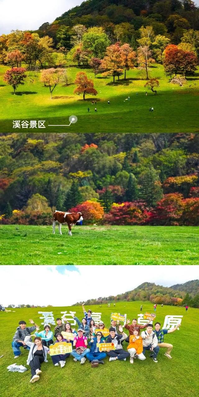 真正懂秋天的人，早已出发自驾吉线331→