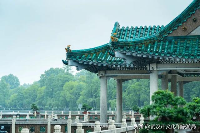 狂降10℃，武汉最凉快的一周，这样玩