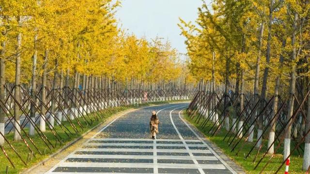 这样的张家港,我“All in”了!