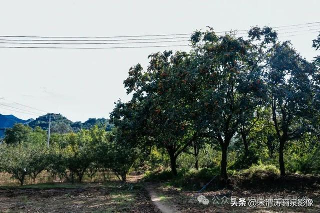 陕西渭南：天留山等南塬风光迤逦 清晰可见 宏伟大气