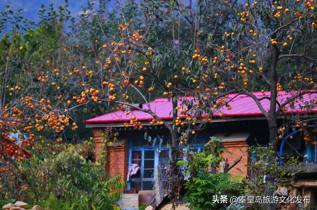 来秦皇岛，解锁冬日种种缤纷“美色”！